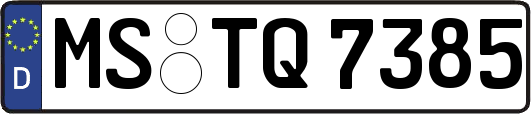 MS-TQ7385