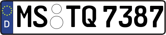 MS-TQ7387