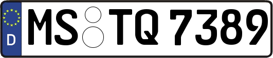 MS-TQ7389