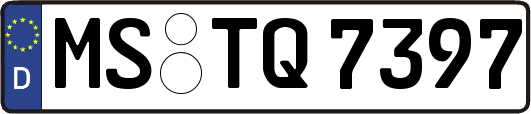 MS-TQ7397