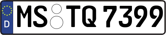 MS-TQ7399