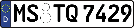 MS-TQ7429