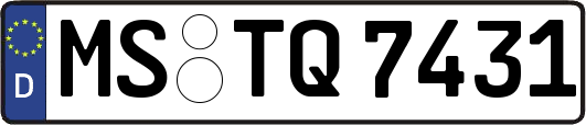 MS-TQ7431
