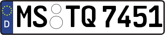 MS-TQ7451