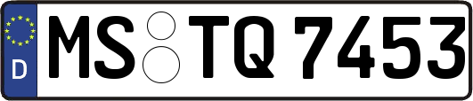 MS-TQ7453