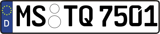 MS-TQ7501