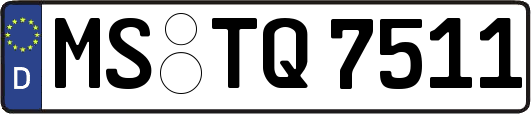 MS-TQ7511
