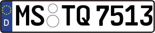 MS-TQ7513