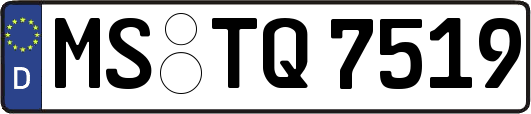 MS-TQ7519