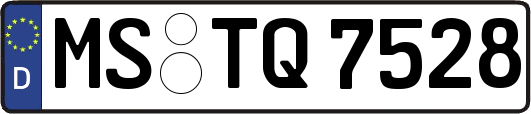 MS-TQ7528