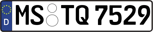 MS-TQ7529