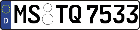 MS-TQ7533