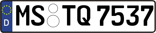 MS-TQ7537