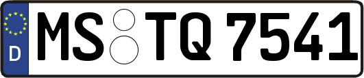 MS-TQ7541
