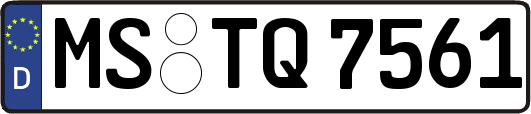 MS-TQ7561