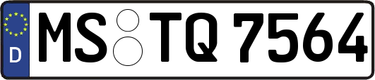 MS-TQ7564