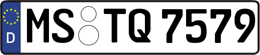 MS-TQ7579