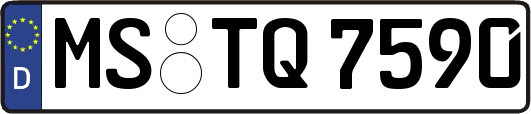 MS-TQ7590