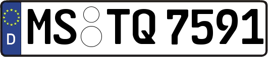 MS-TQ7591
