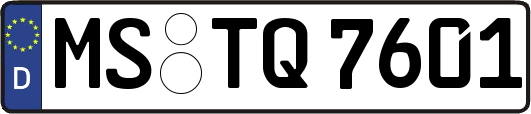 MS-TQ7601