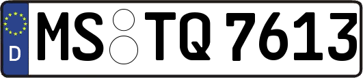 MS-TQ7613