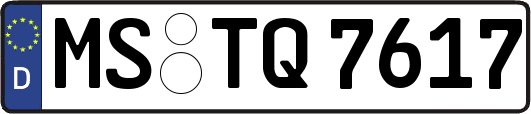 MS-TQ7617