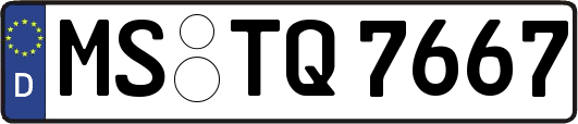 MS-TQ7667