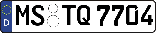 MS-TQ7704