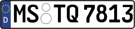 MS-TQ7813