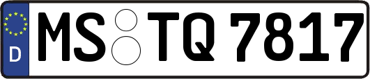 MS-TQ7817