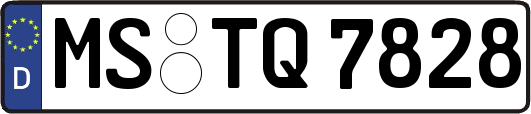 MS-TQ7828