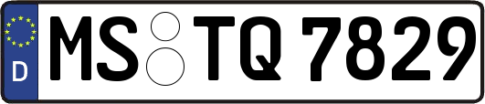 MS-TQ7829