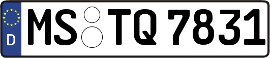 MS-TQ7831
