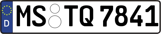 MS-TQ7841