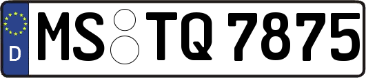 MS-TQ7875