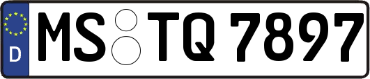 MS-TQ7897