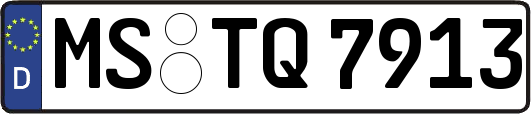 MS-TQ7913