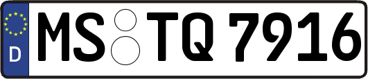 MS-TQ7916