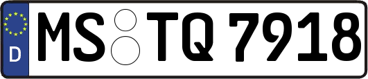 MS-TQ7918