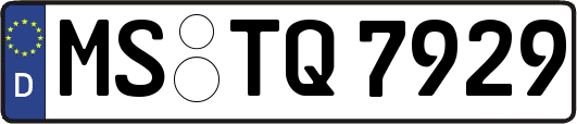 MS-TQ7929