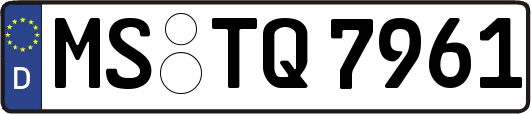 MS-TQ7961