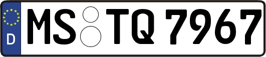MS-TQ7967