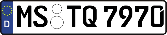 MS-TQ7970