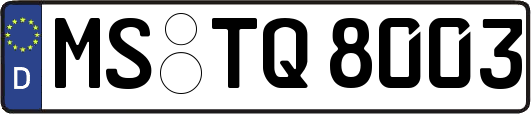 MS-TQ8003