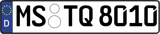 MS-TQ8010