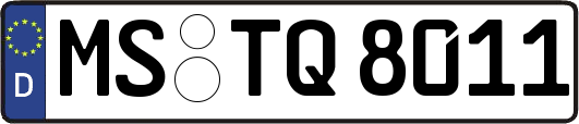 MS-TQ8011