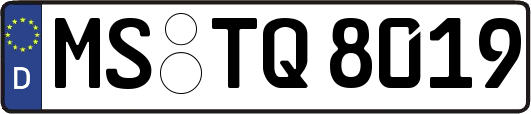 MS-TQ8019