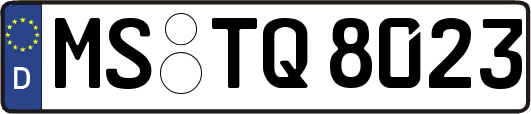 MS-TQ8023