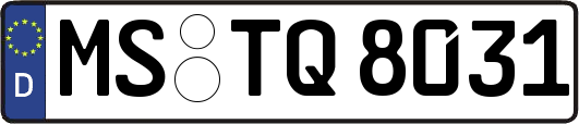 MS-TQ8031