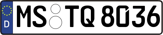MS-TQ8036
